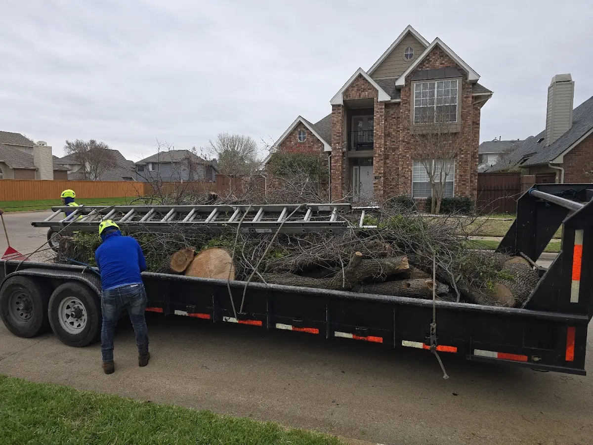 Expert Tree Fertilization with proper safety equipment in Granville